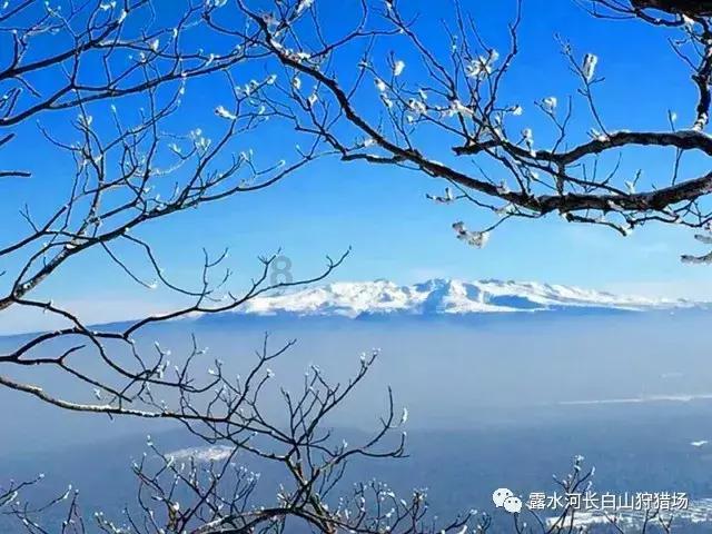 青山镇政协工作联络组开展住房安全排查整治行动