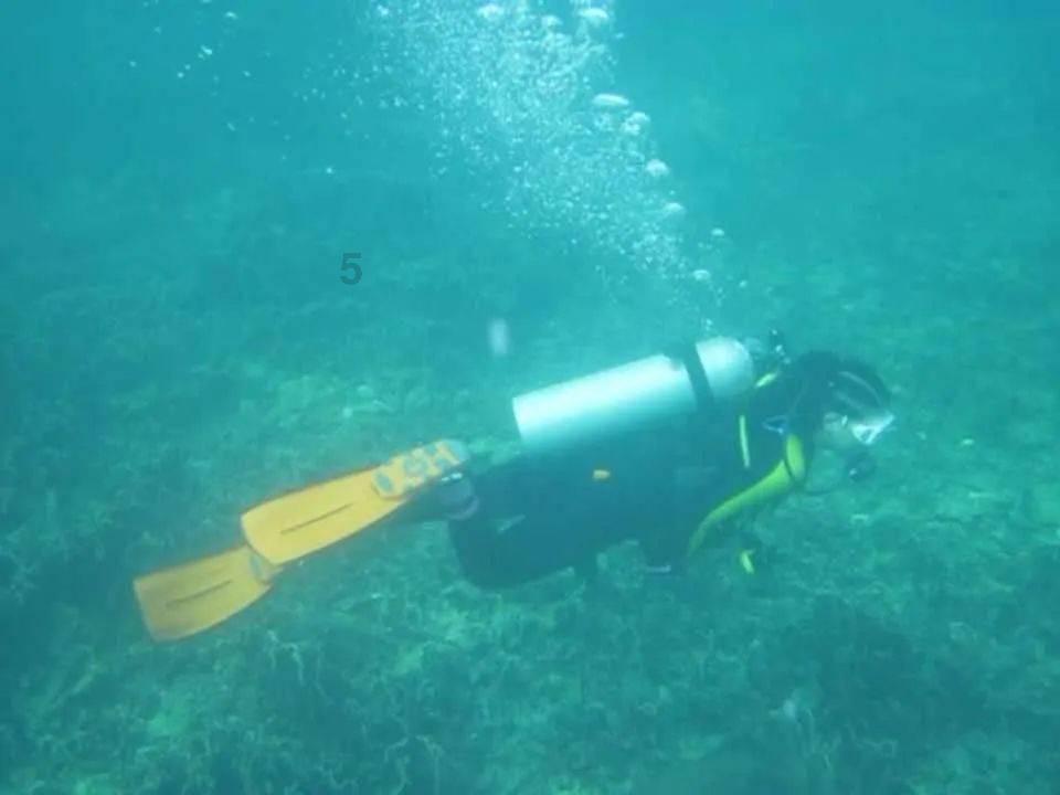 社论丨积极的货币政策有利于支持实体经济和提振市场信心